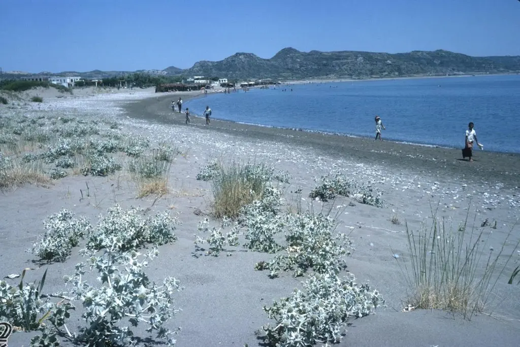 Faliraki Beach 1965